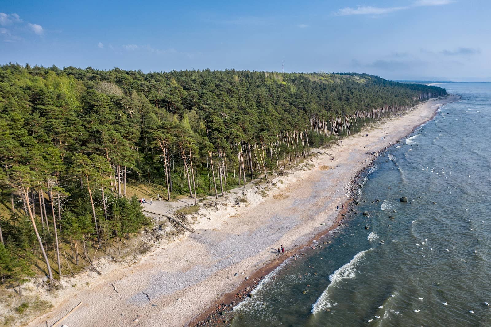 Romantic Sunset Picnics