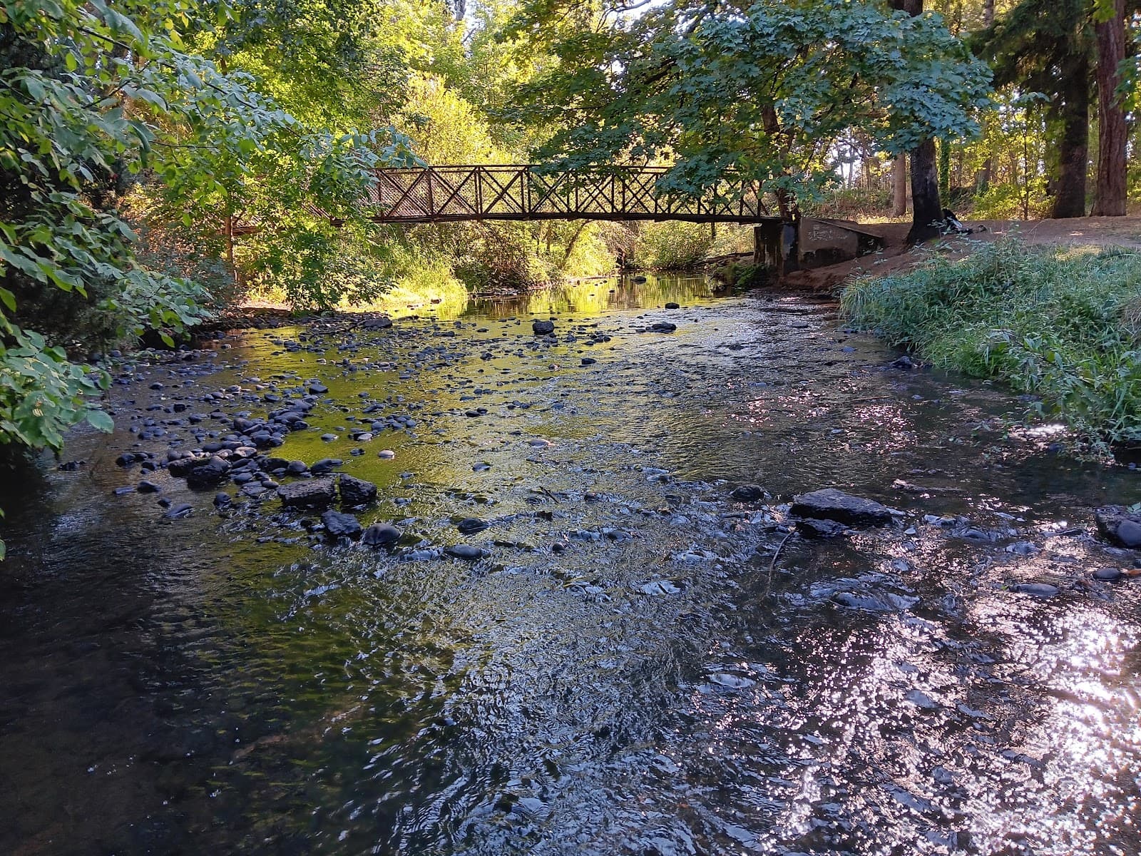 Pringle Creek Park - Image 1
