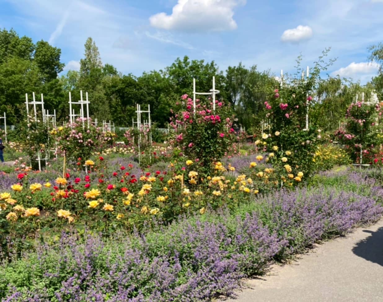 Panoramic City Views