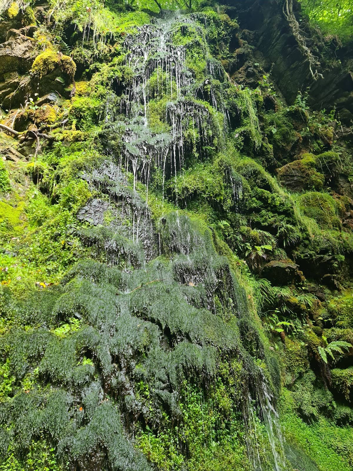 Vertical photo