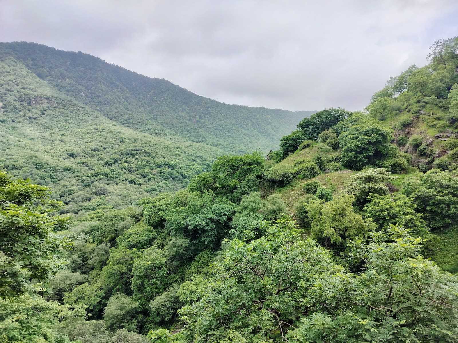 Todgarh Raoli Wildlife Sanctuary - Image 1