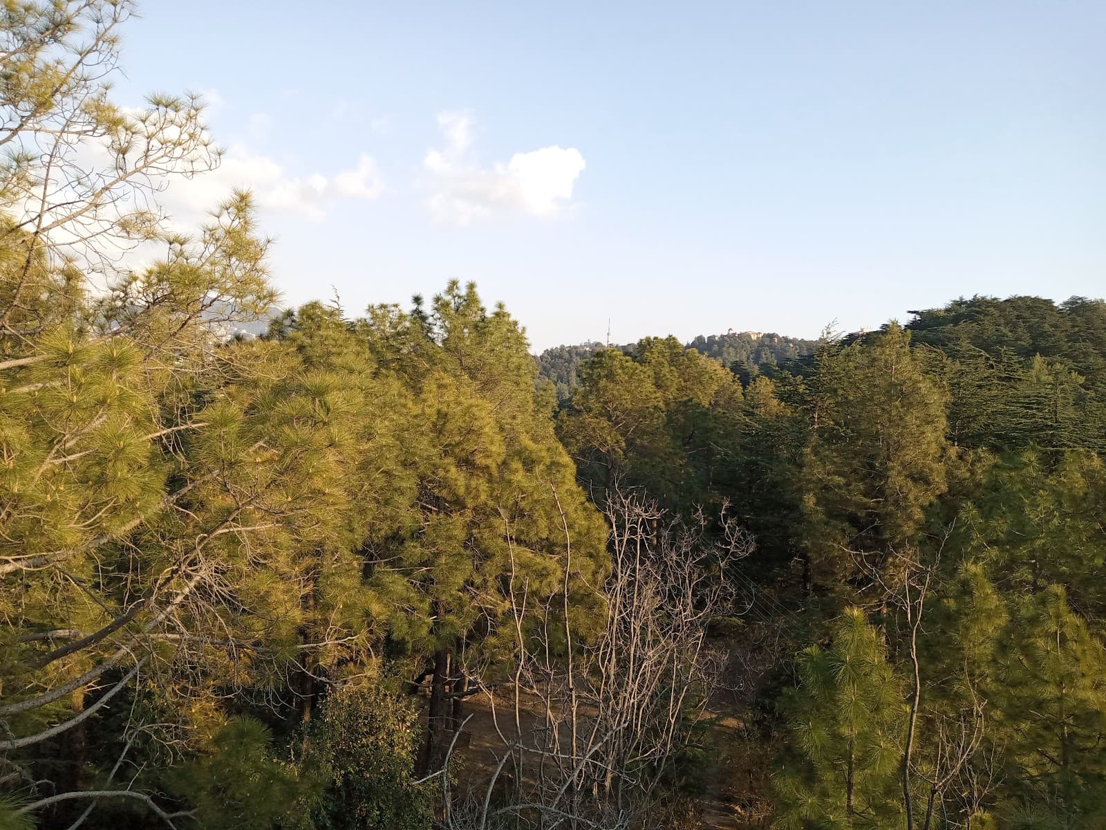 Potter's Hill Eco Park - Image 1