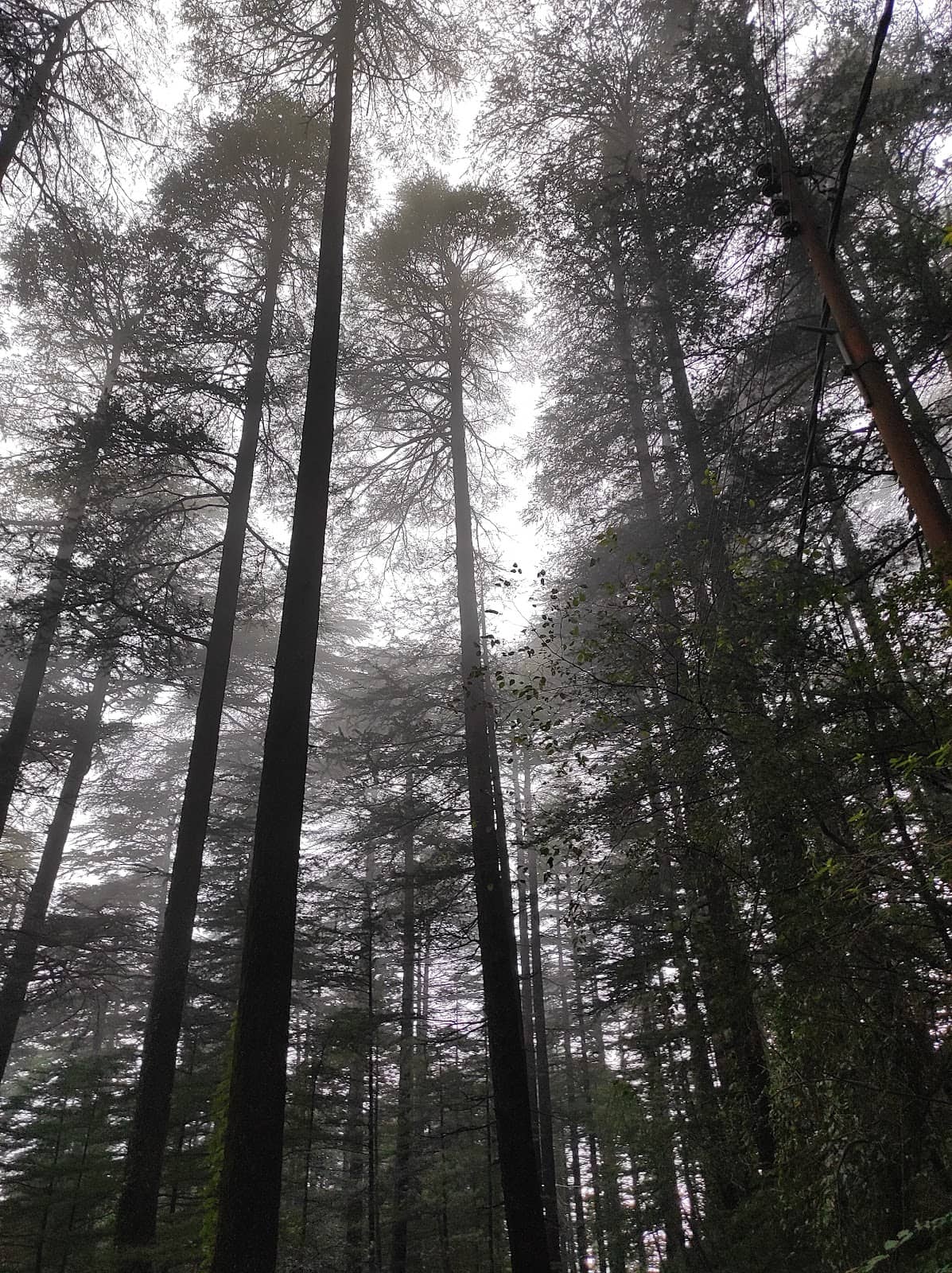 Vertical photo