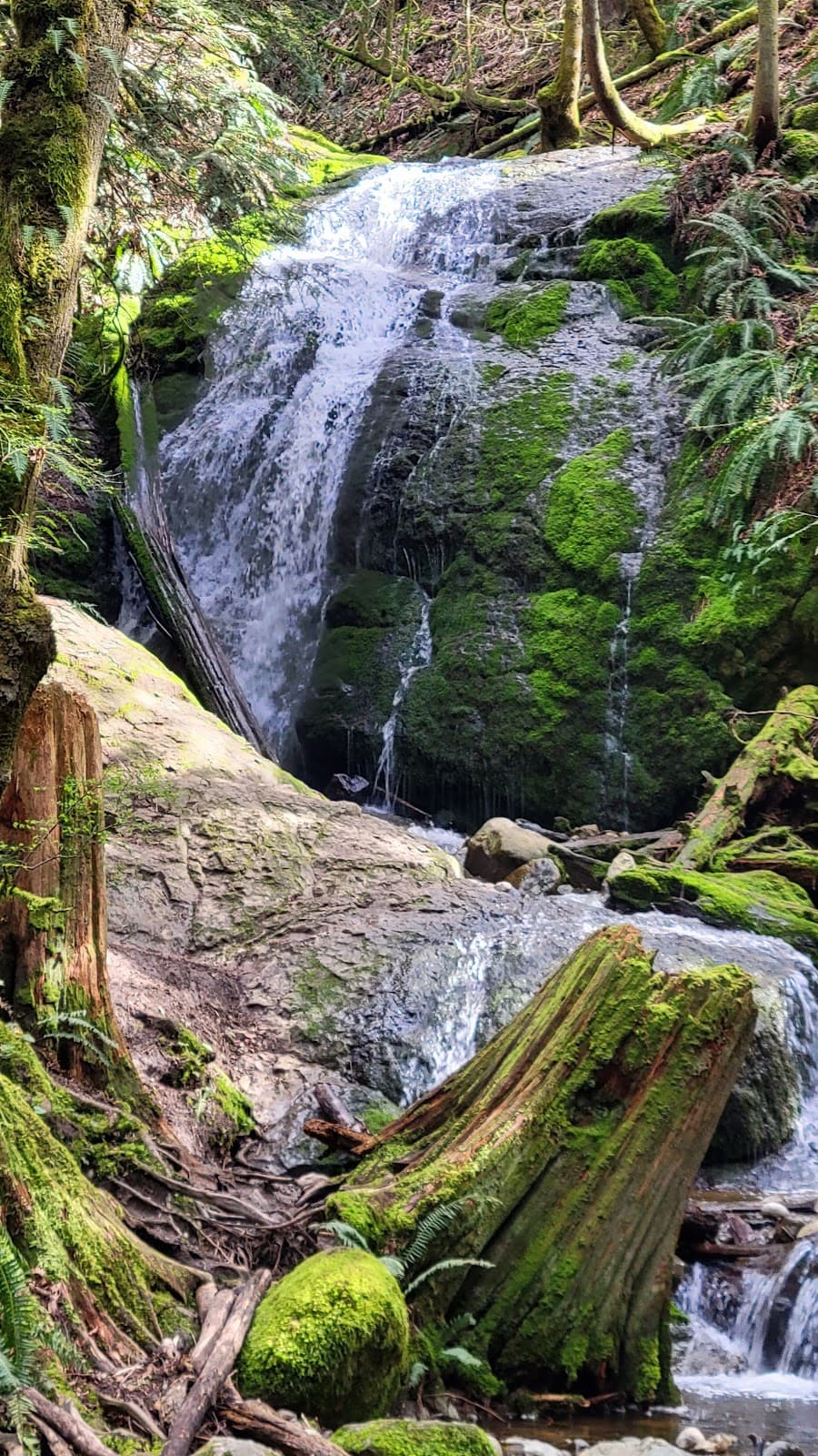 Coal Creek Falls - Image 1