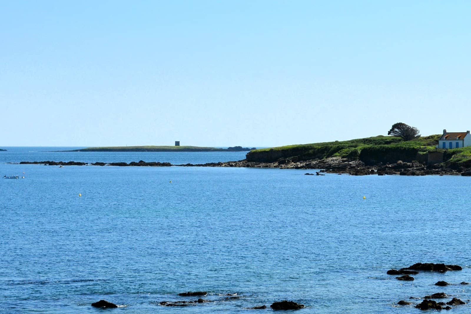 Local Cafes and Bistros