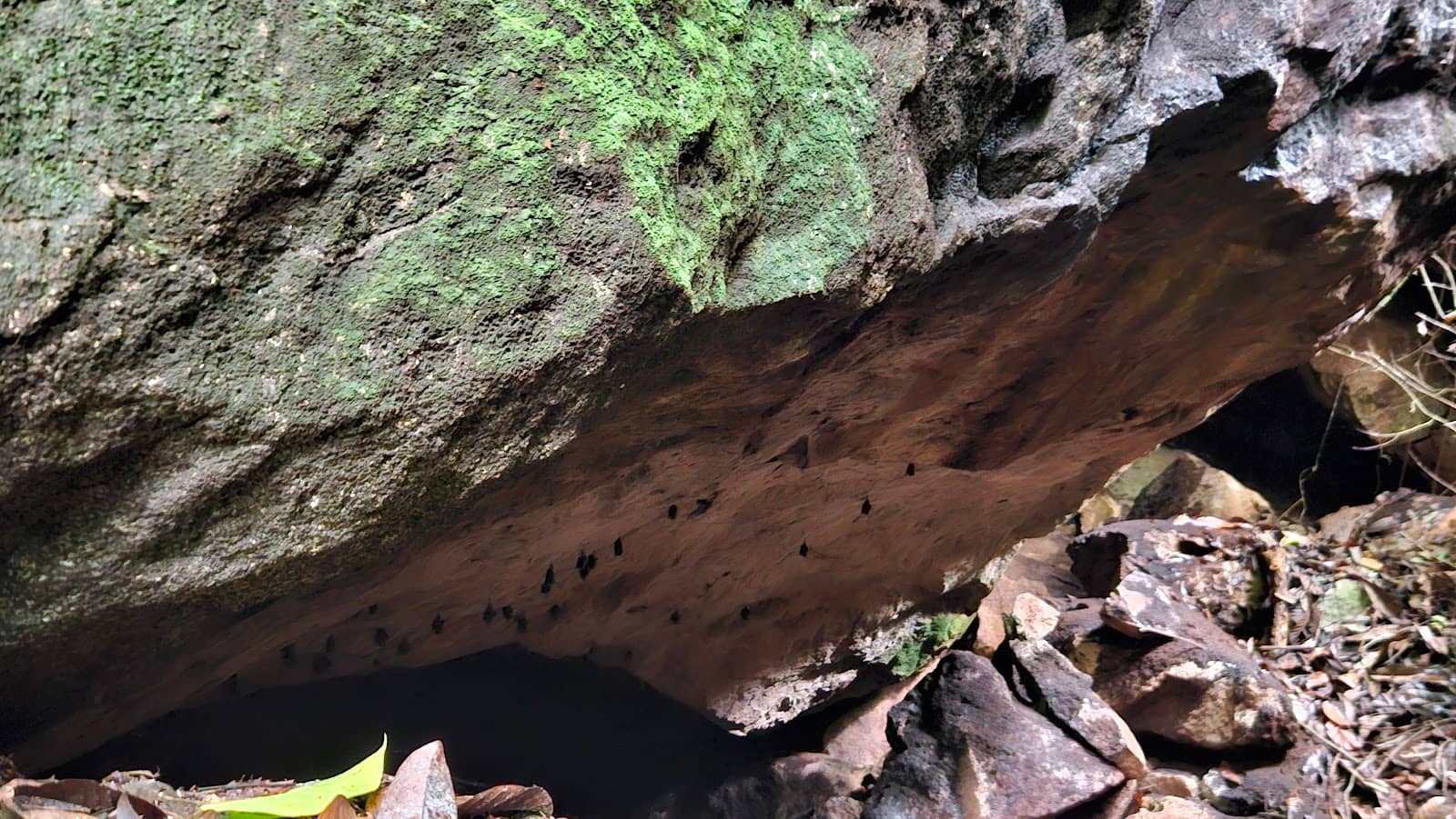 The Trek to the Cave