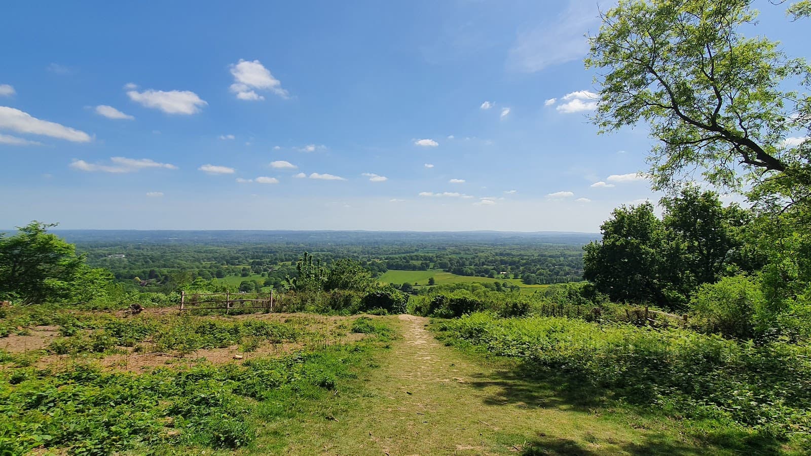 One Tree Hill Northern Territory - Image 1
