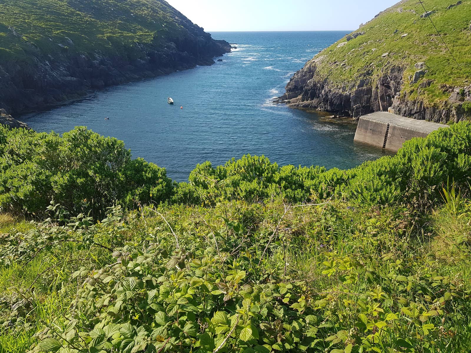 Peaceful Pier and Coastal Views