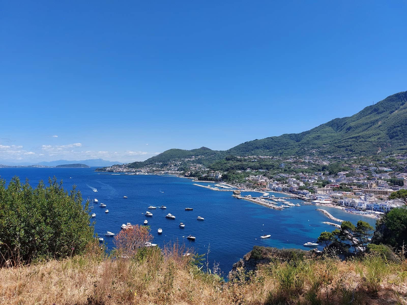 Viewpoint Above Town