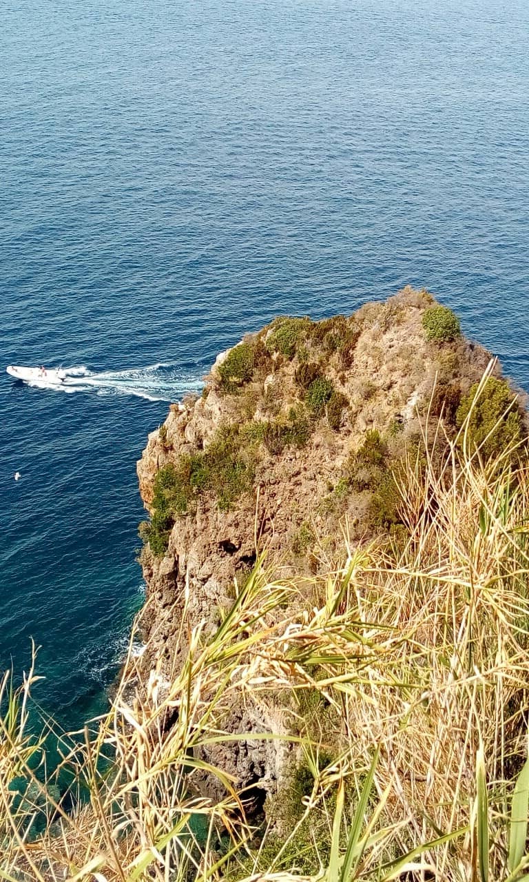 Vertical photo