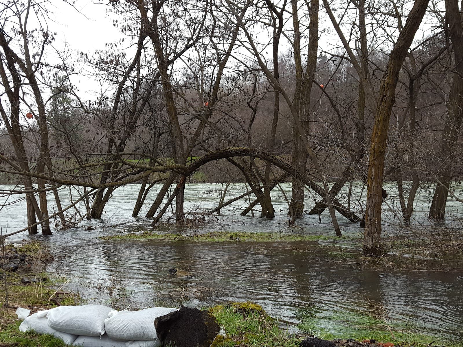 Peaceful Valley - Image 1