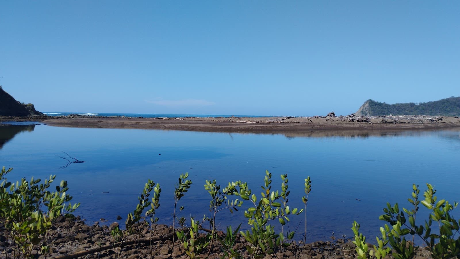 Buena Vista Turtle Conservation Camp - Image 1