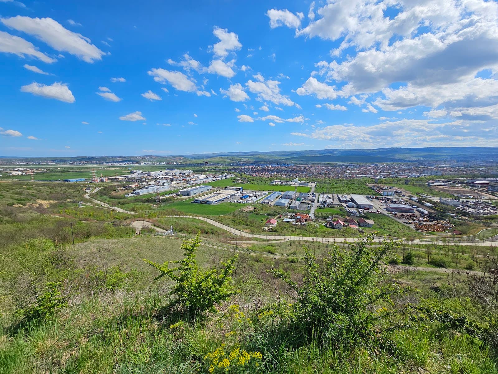 Pădurea Clujenilor Youth Park - Image 1