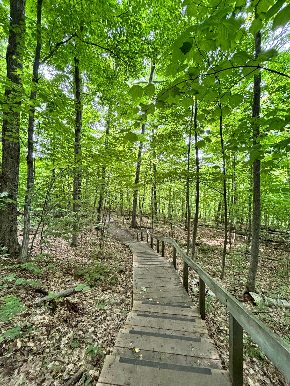 Awenda Provincial Park - Image 1