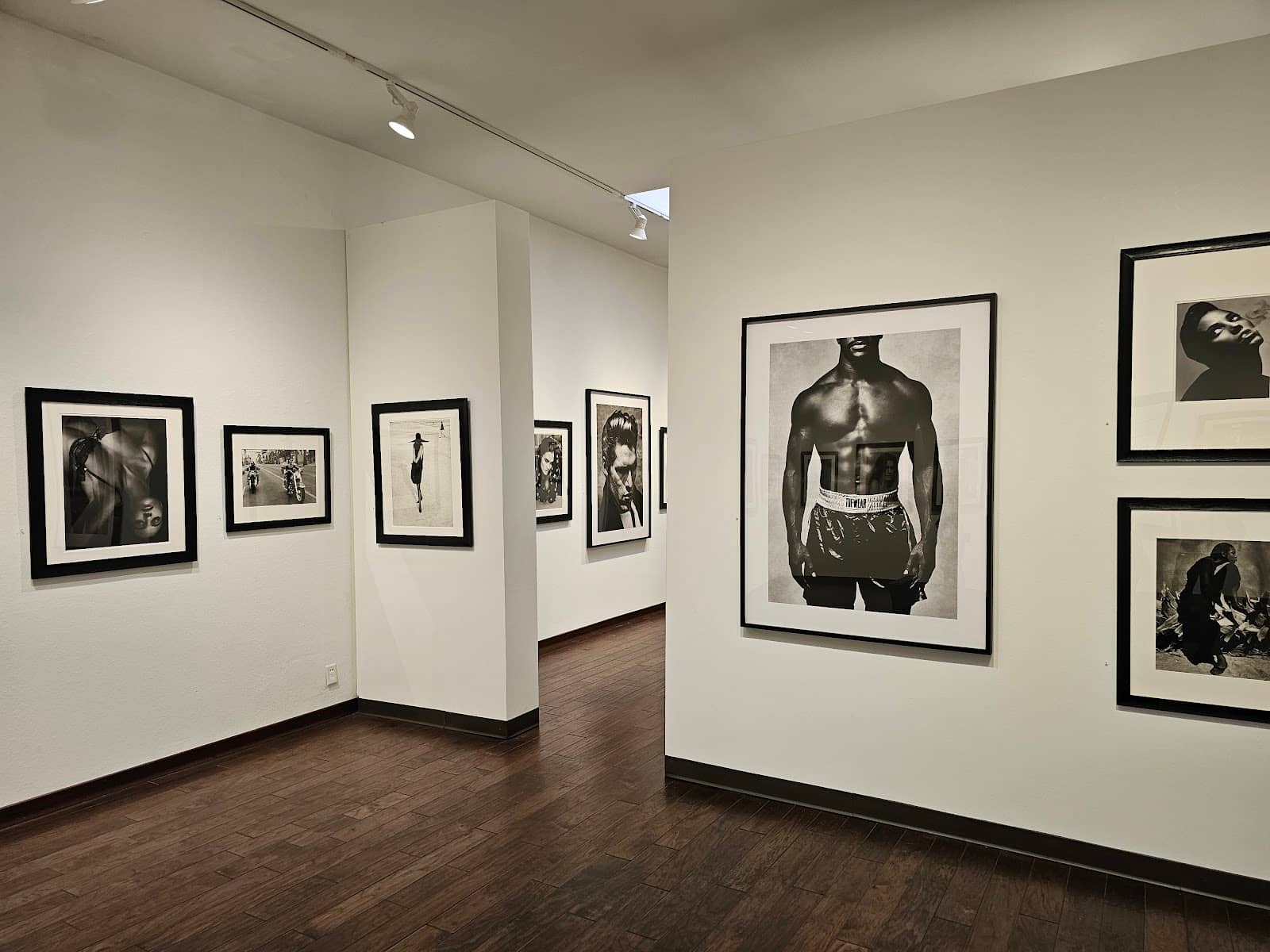 Diverse Photographic Styles