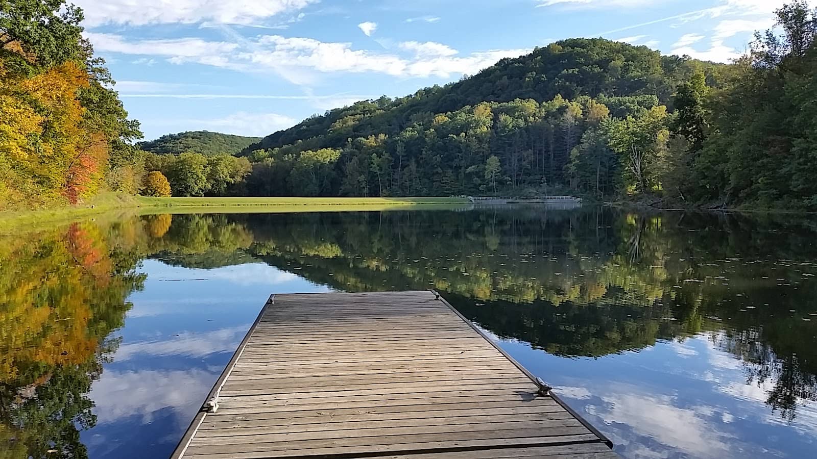 Forested Campgrounds