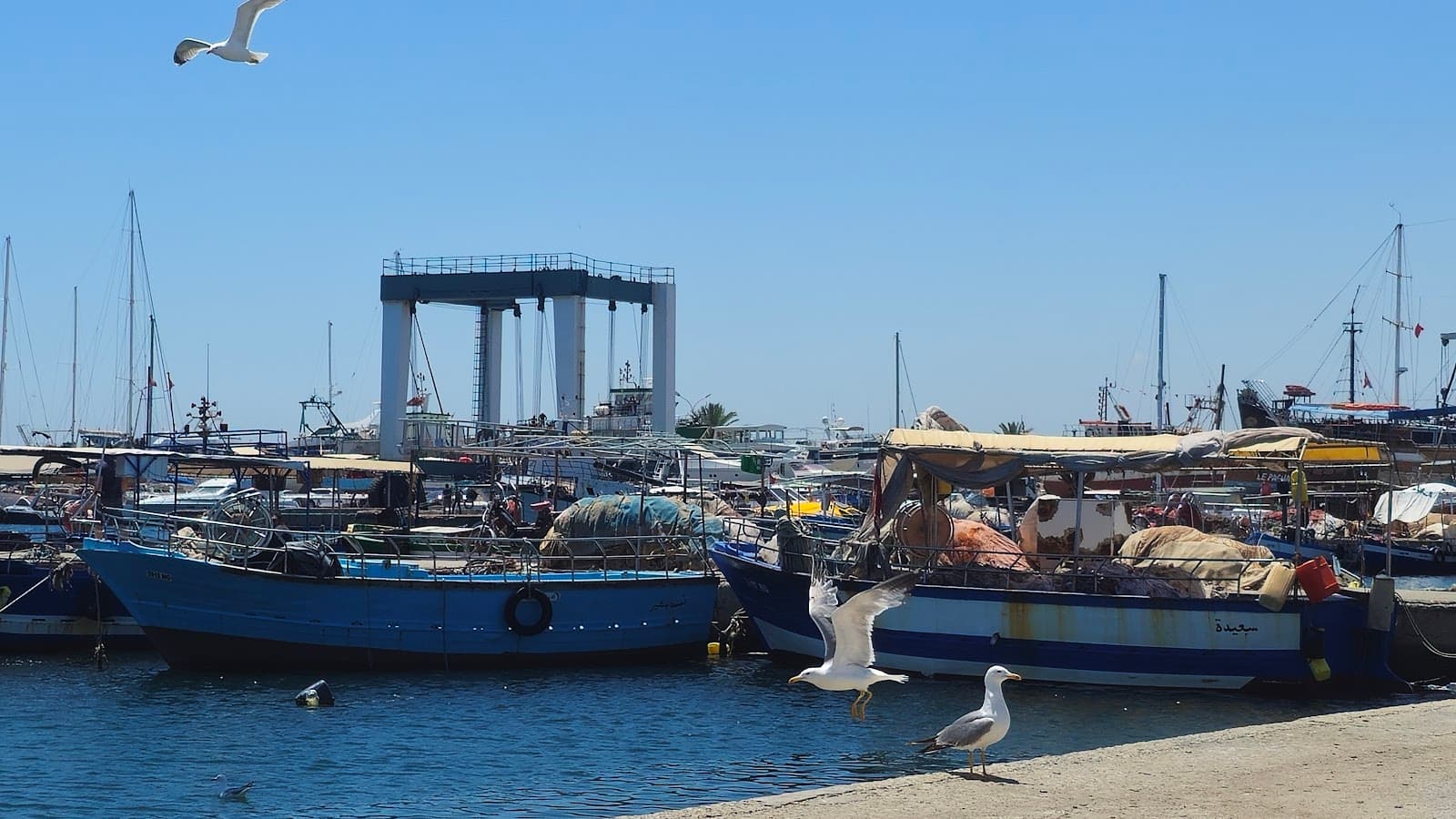 Monastir Fishing Port - Image 1