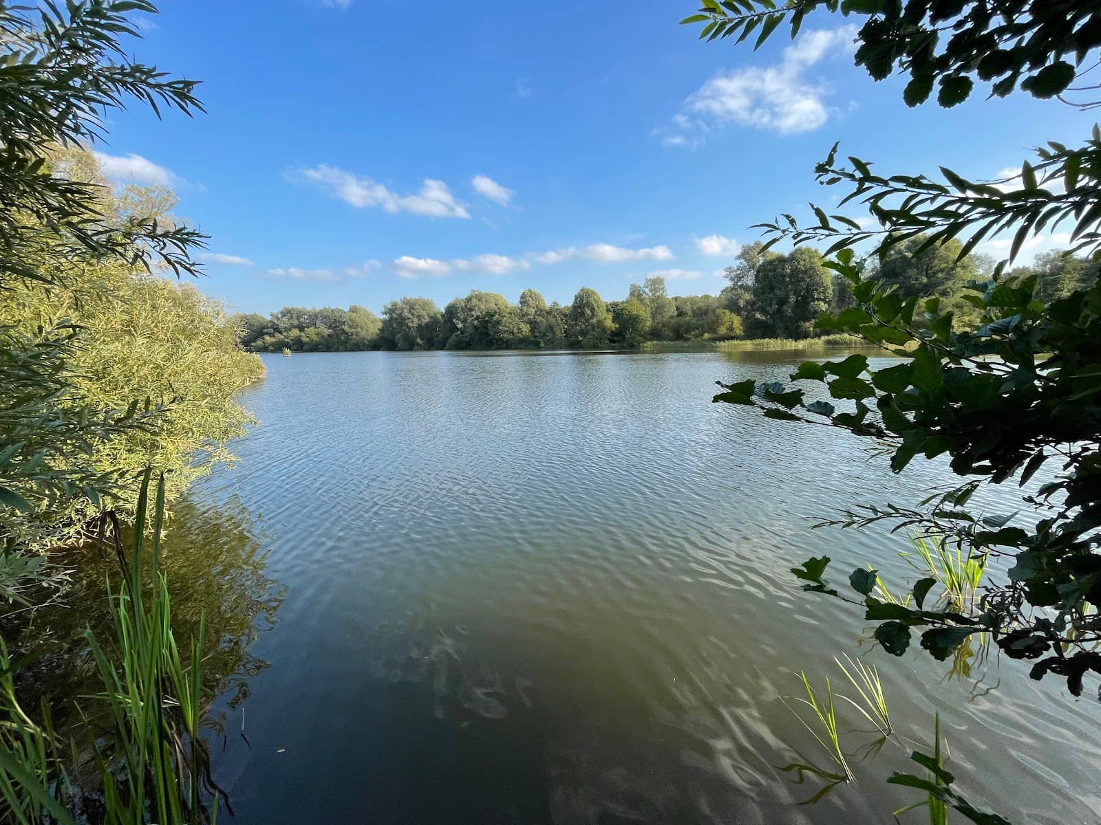UEA Lake