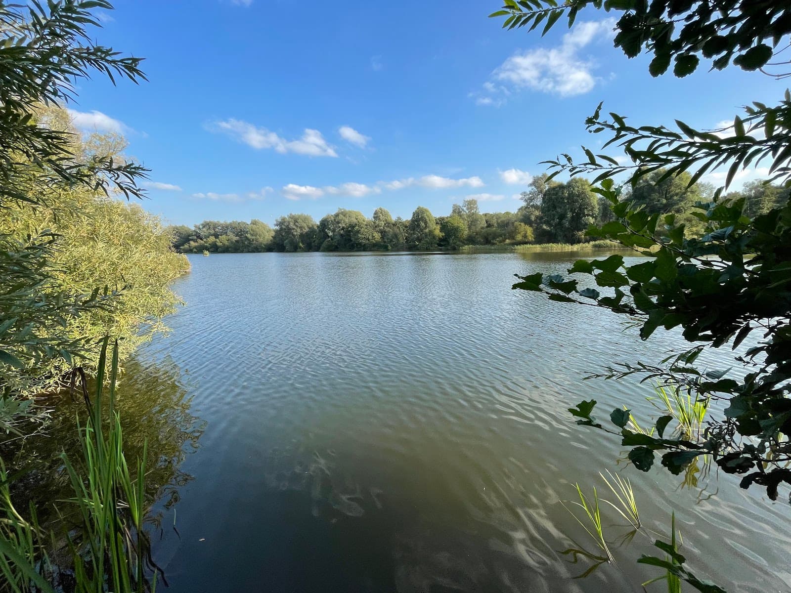 University of East Anglia Sculpture Park & The Broads - Image 1