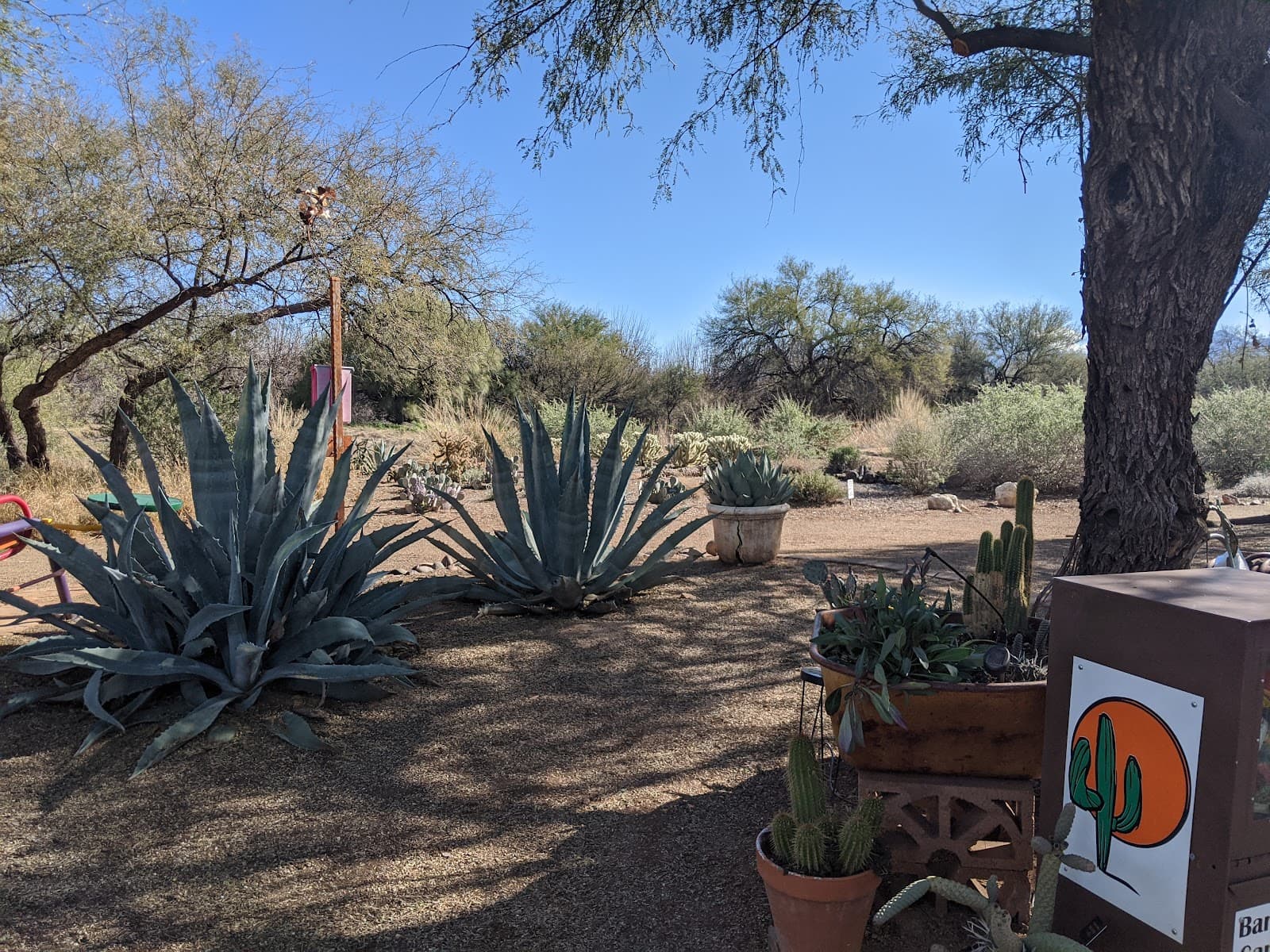 Desert Meadows Park - Image 1