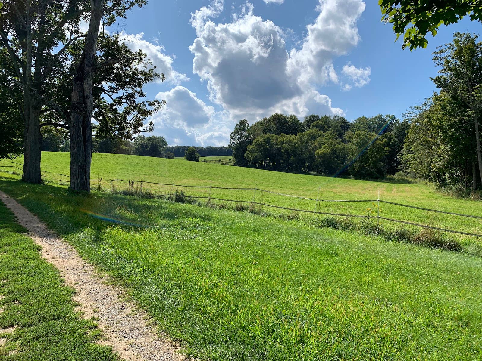 Scenic Vistas