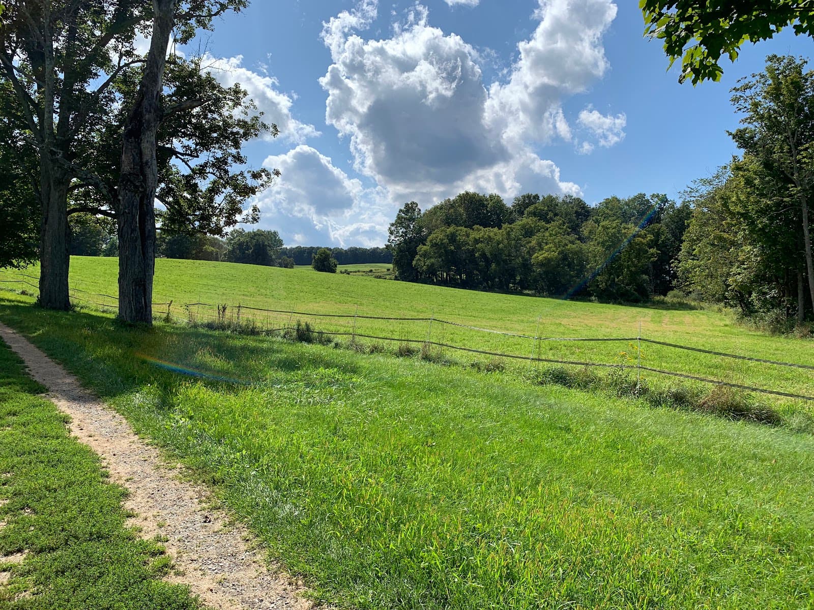 Mile-Around Woods - Image 1