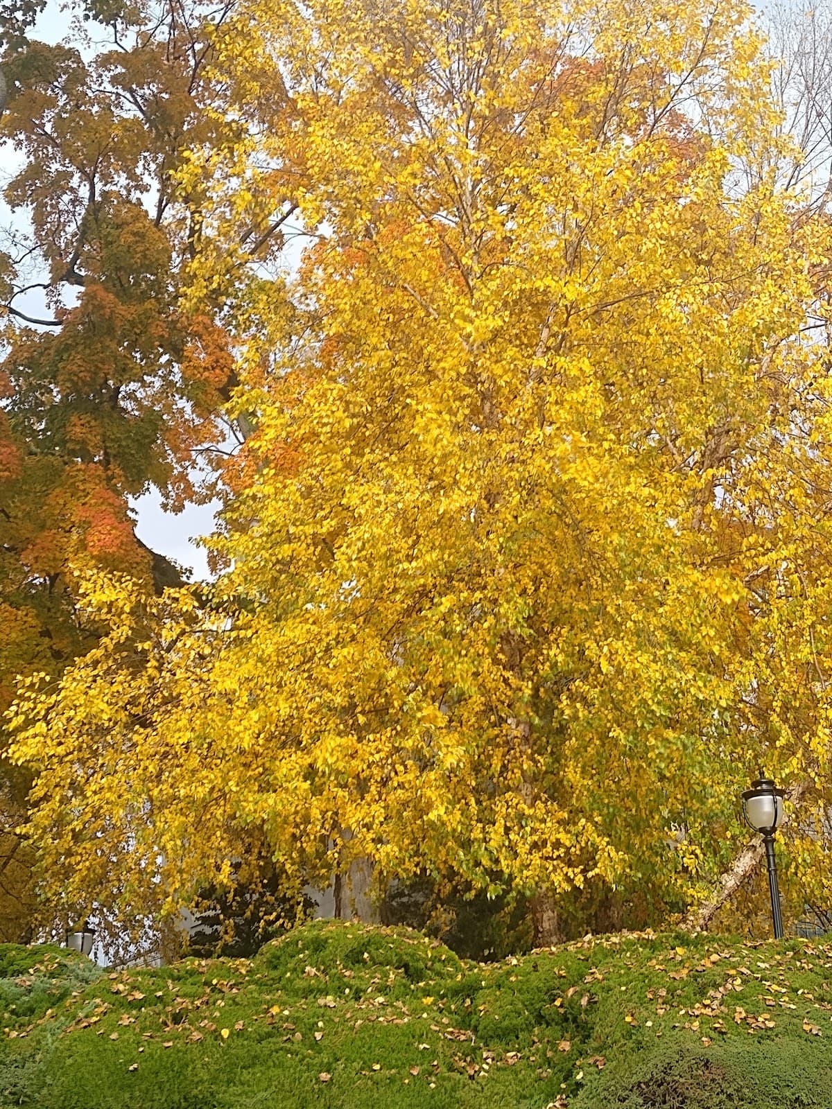 Asylum Hill Hartford - Image 1