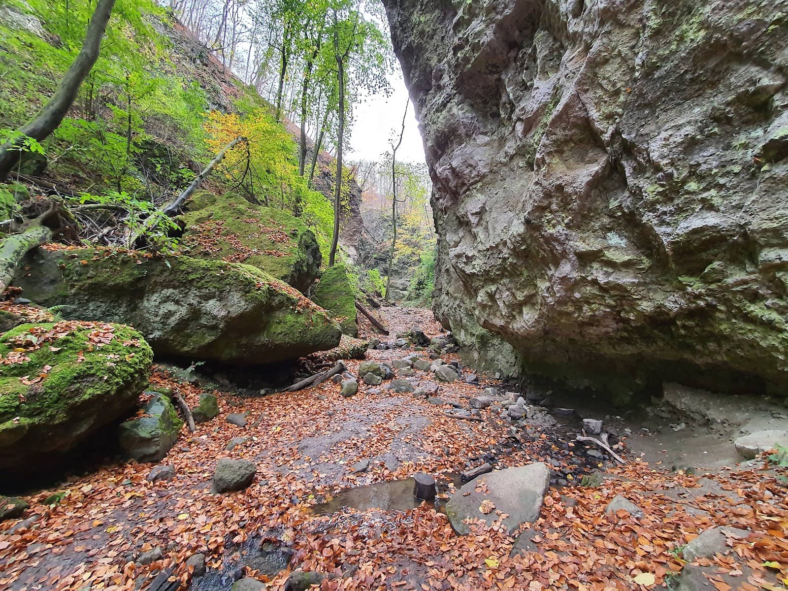 Panoramic Views from Dobogókő