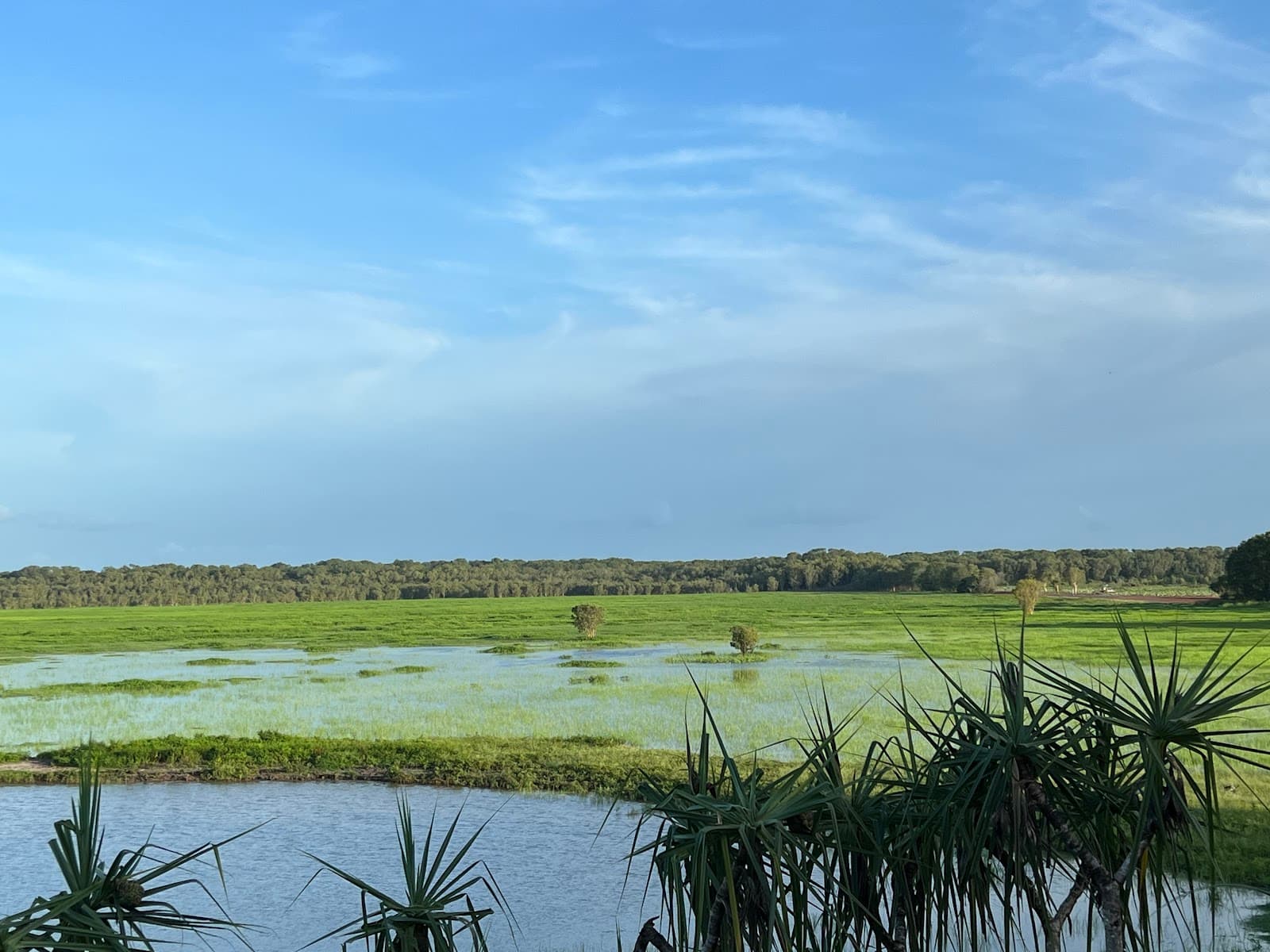 Fogg Dam Conservation Reserve - Image 1