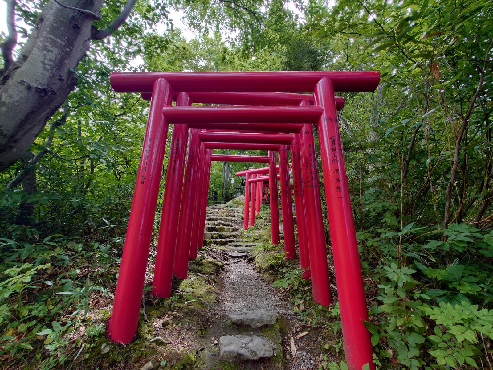 Tamahime Inari Shrine - Image 1