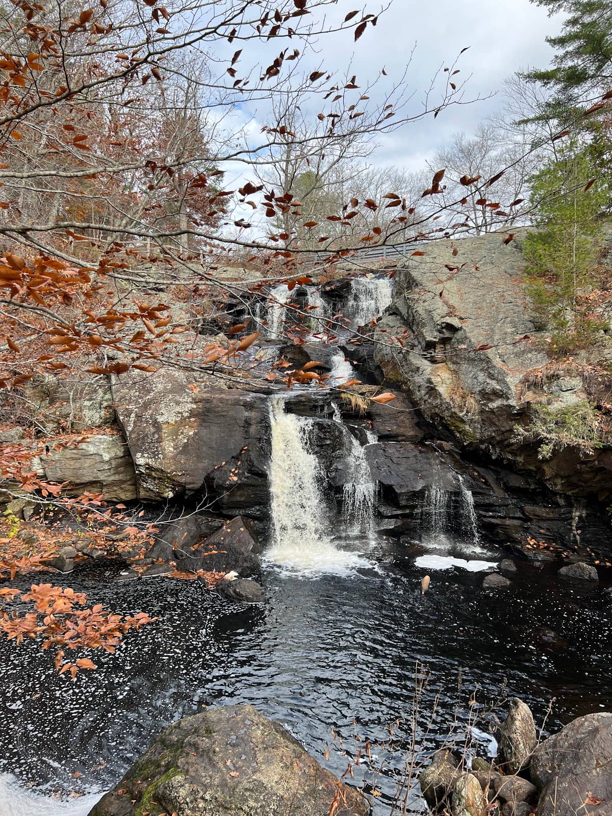 Vertical photo