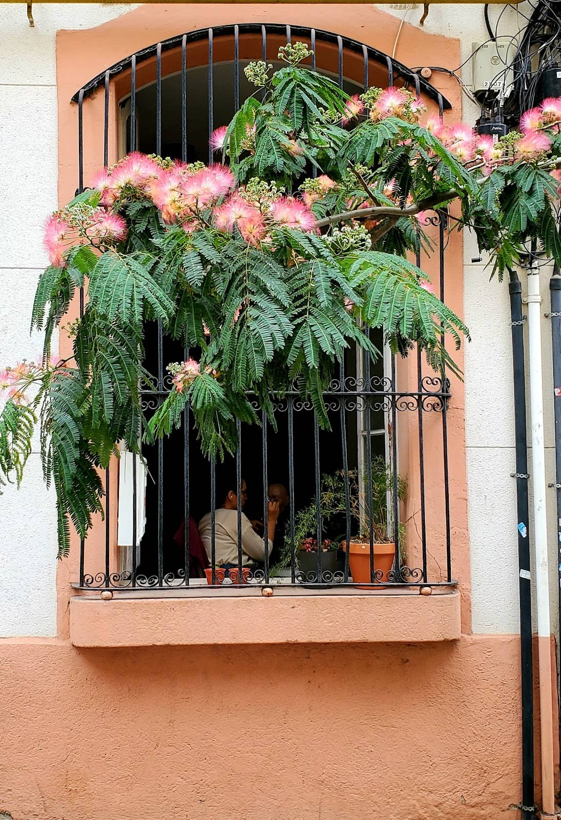Vertical photo