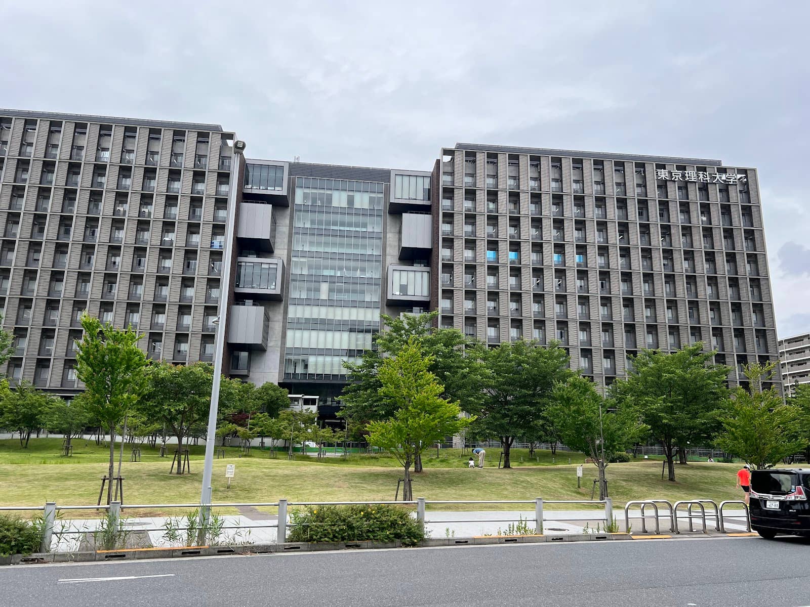 Spring Cherry Blossoms