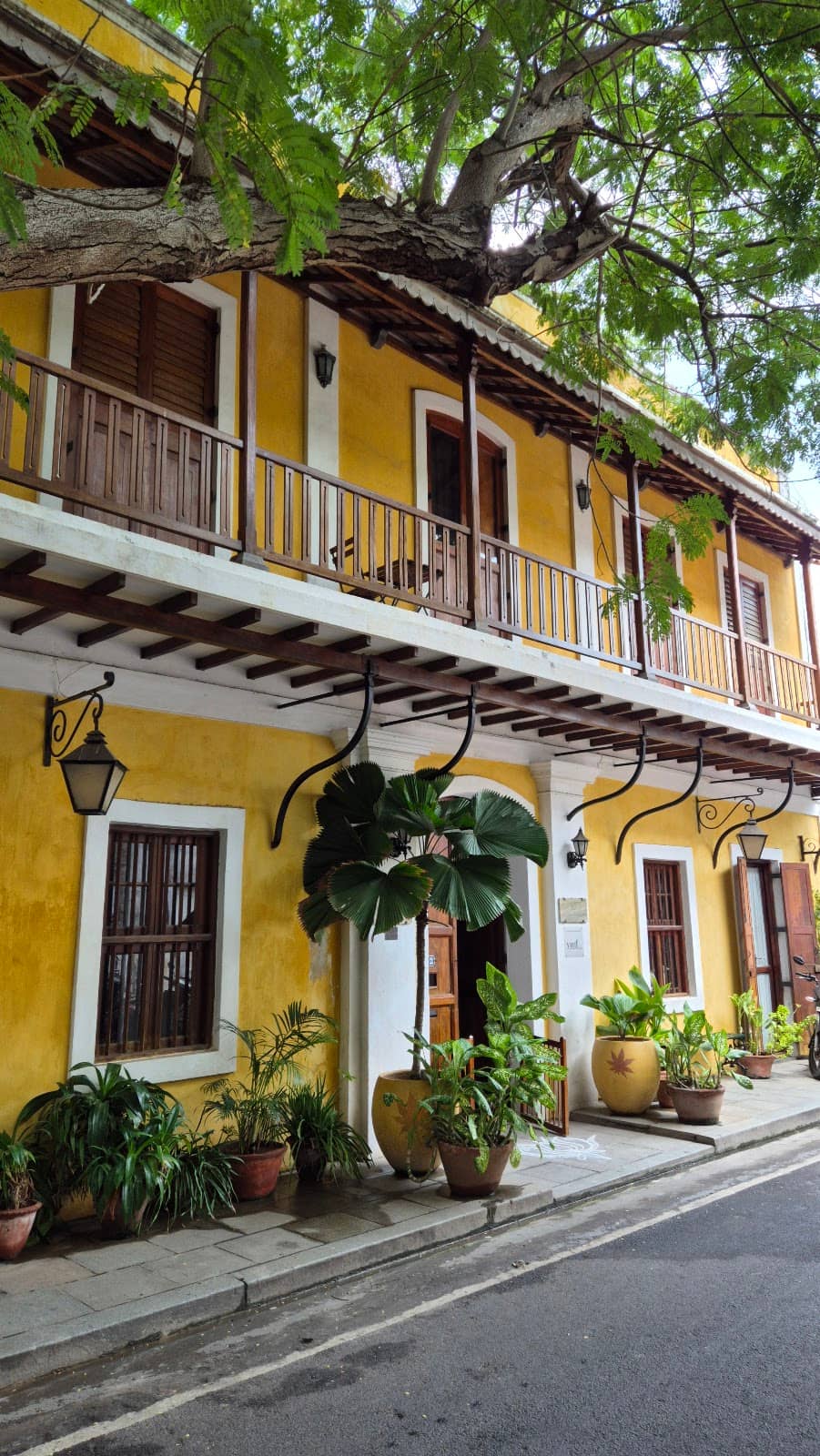 Charming Cafes and Boutiques