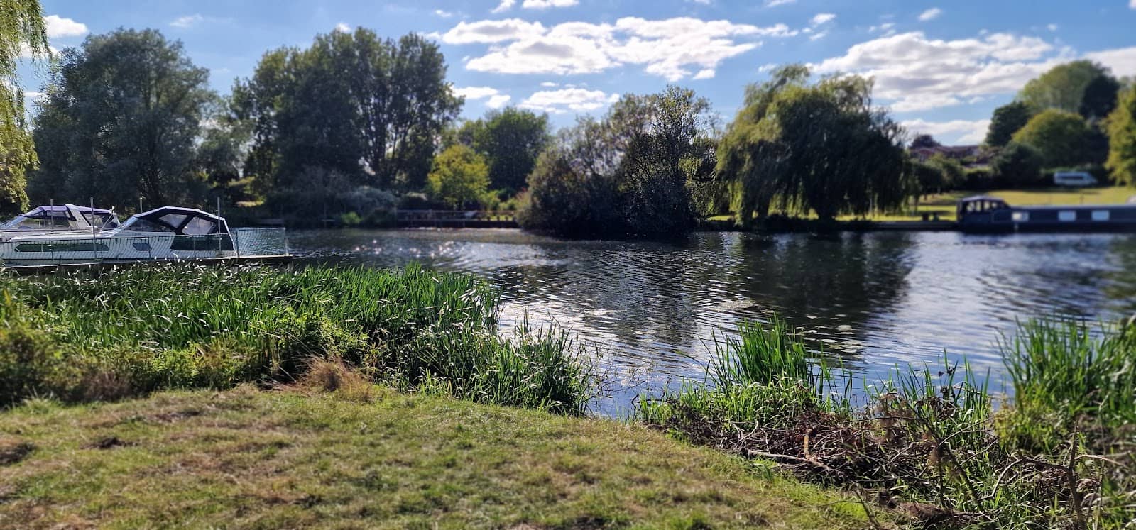 Local Wildlife Spotting