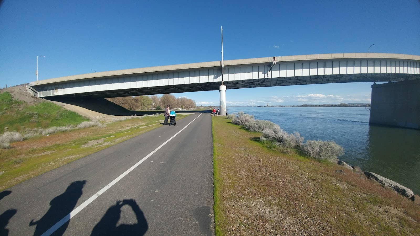 Lush Greenery & Trees