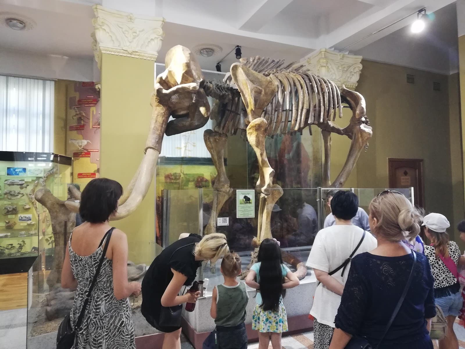 Nature Museum Academy of Sciences - Image 1