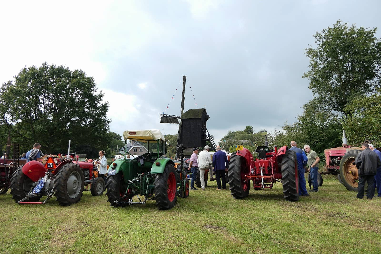 Mill Restoration Insights