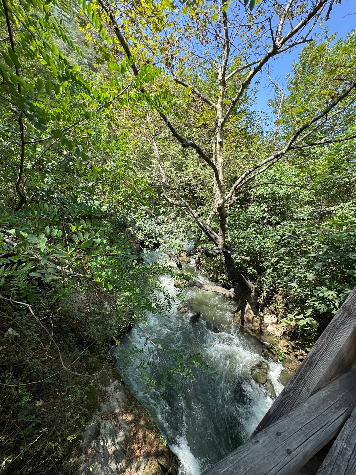 Vertical photo