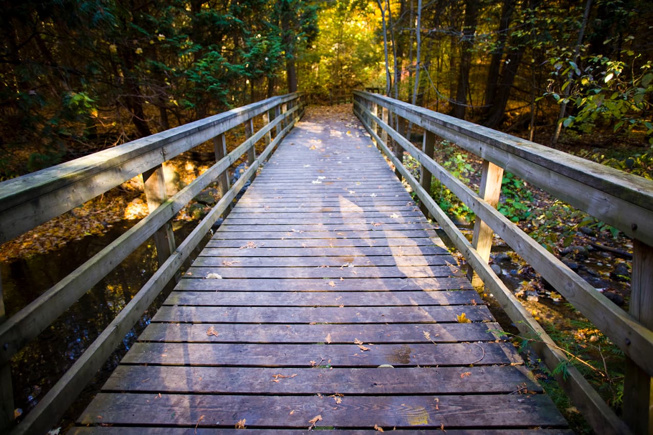 Scanlon Creek Conservation Area - Image 1