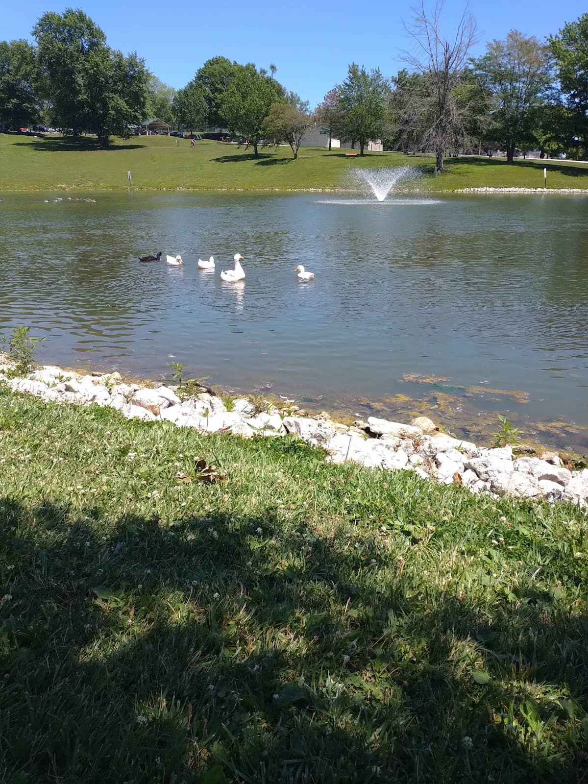 Pond & Wildlife Viewing