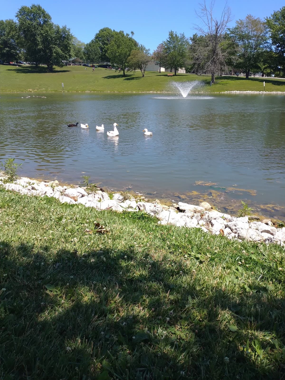 Huckleberry Park - Image 1