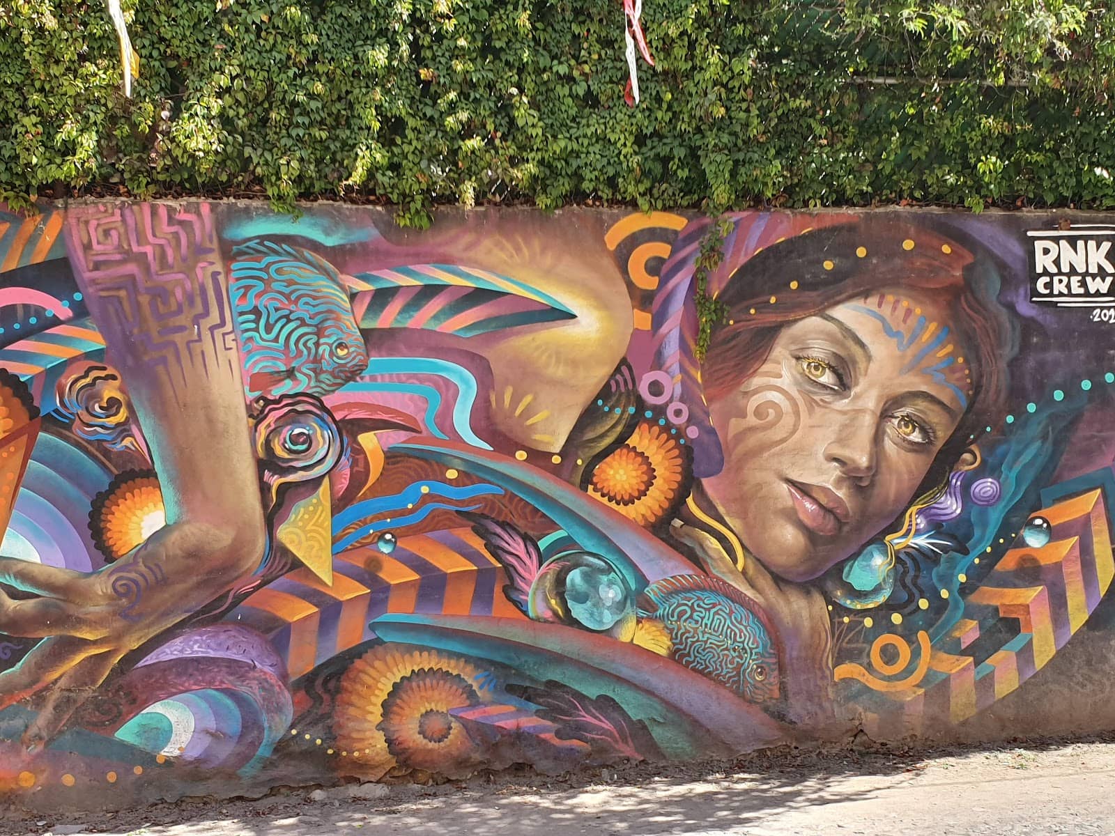 Bohemian Streets