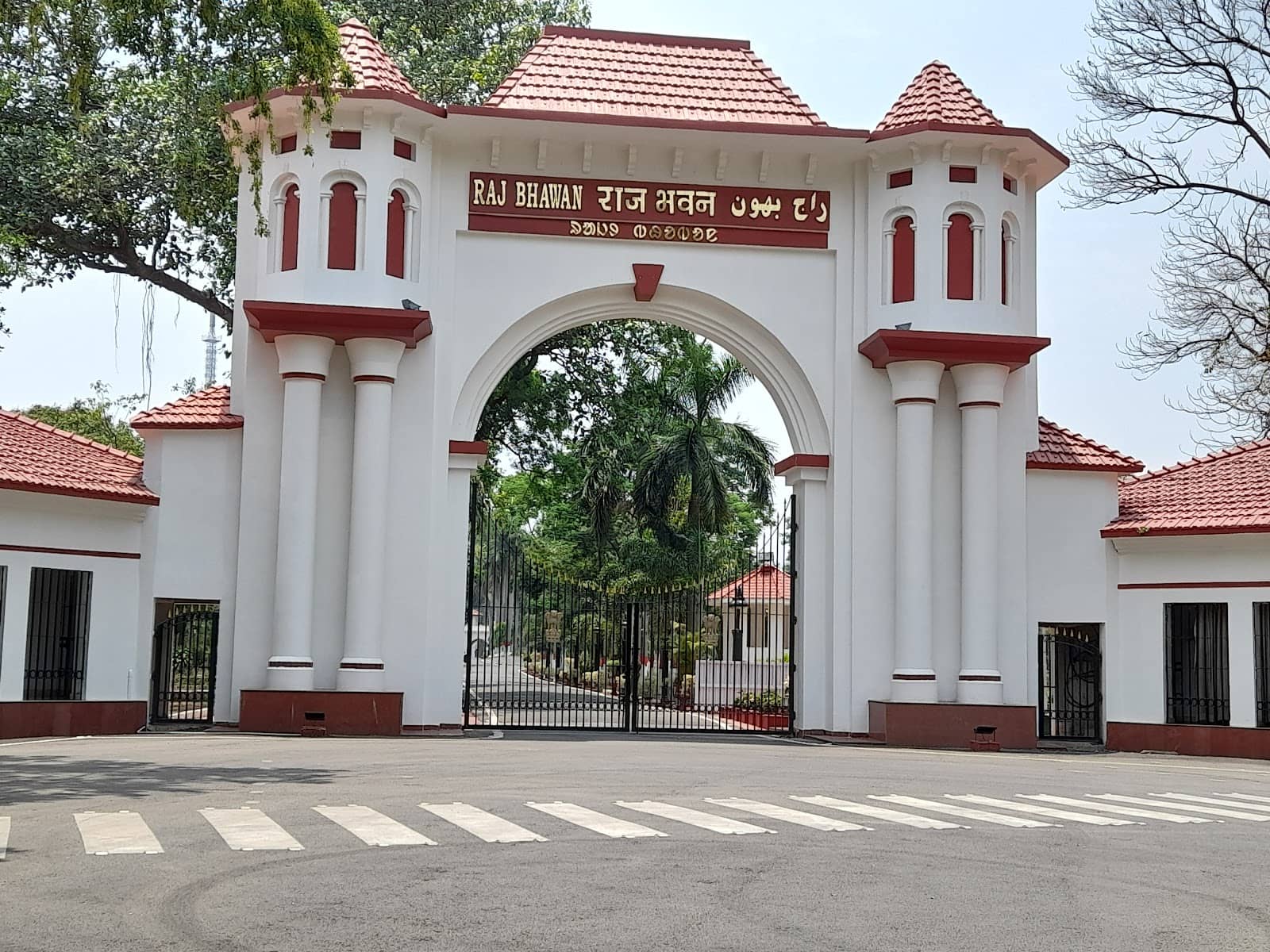 Medicinal Plants and Rudraksh Tree