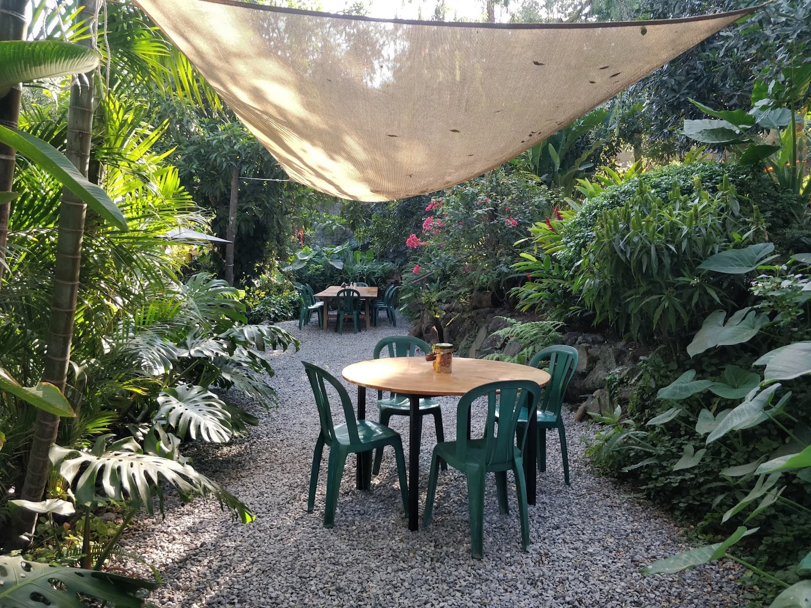 Valhalla Macadamia Farm - Image 1