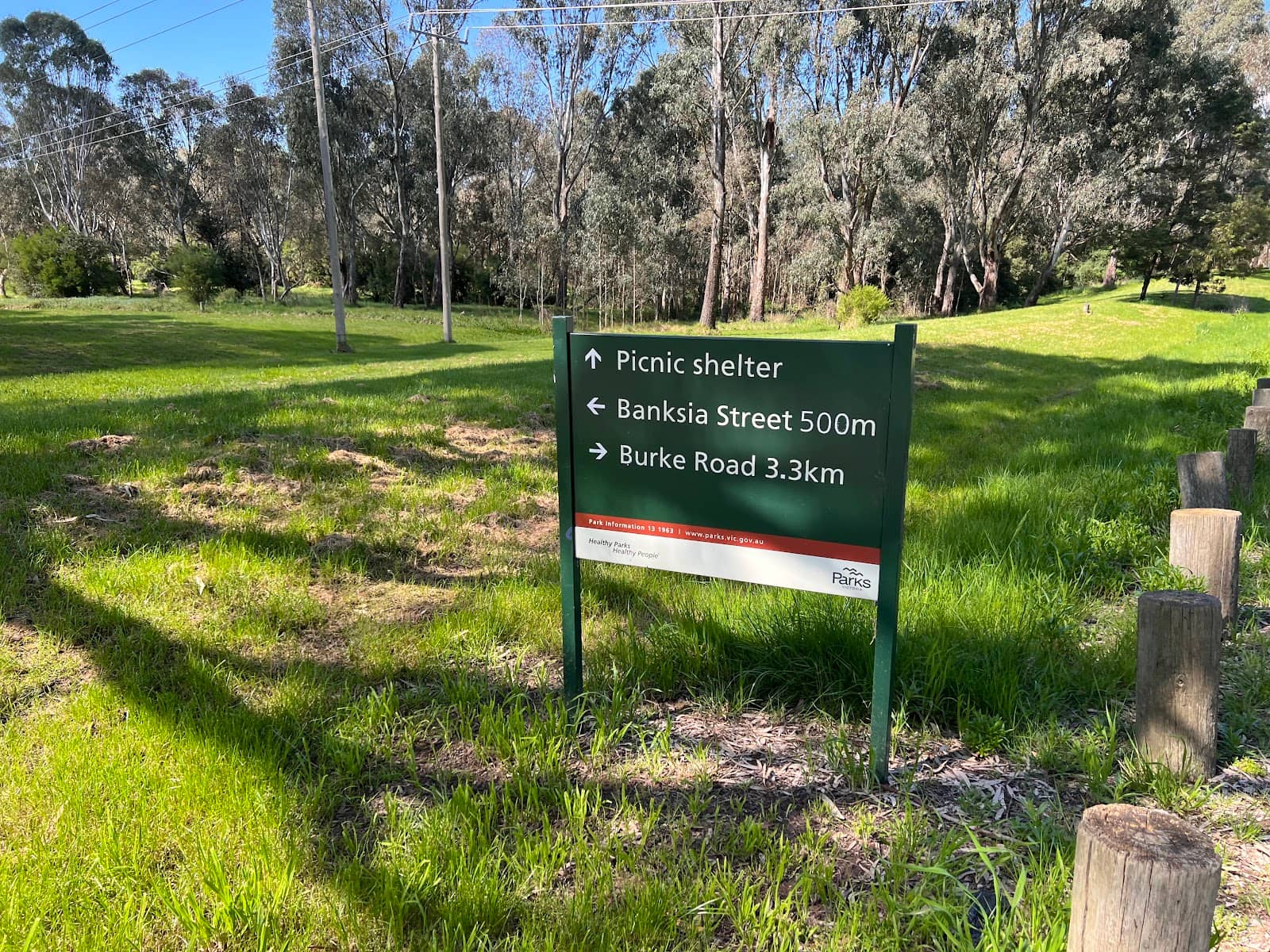 Extensive Pathway Network