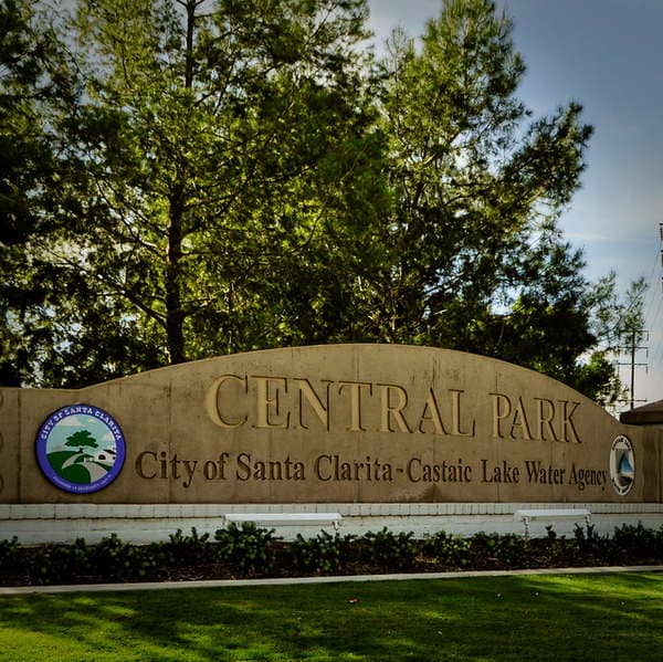 Summer Concerts in the Park