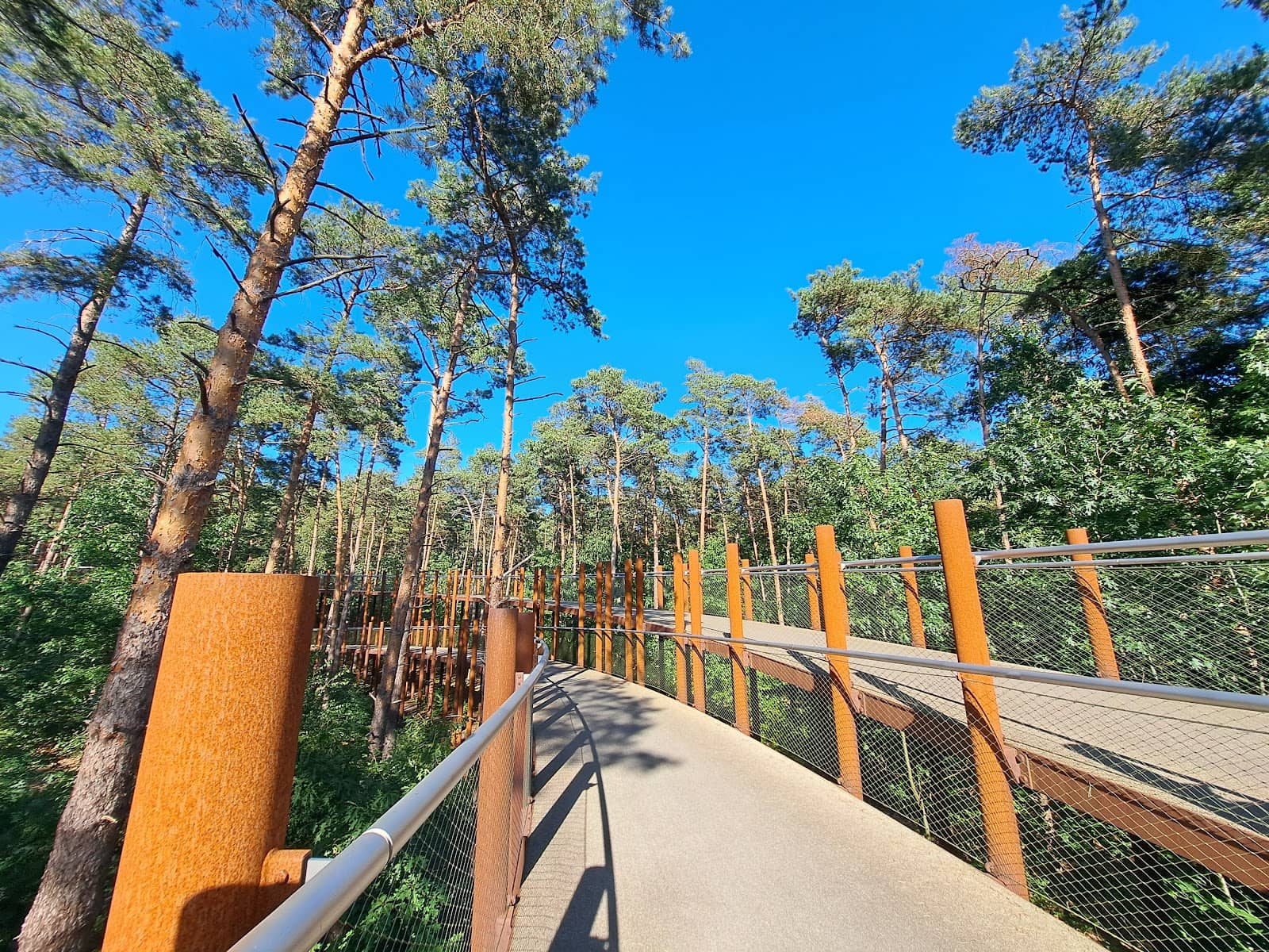 Playgrounds for Little Explorers