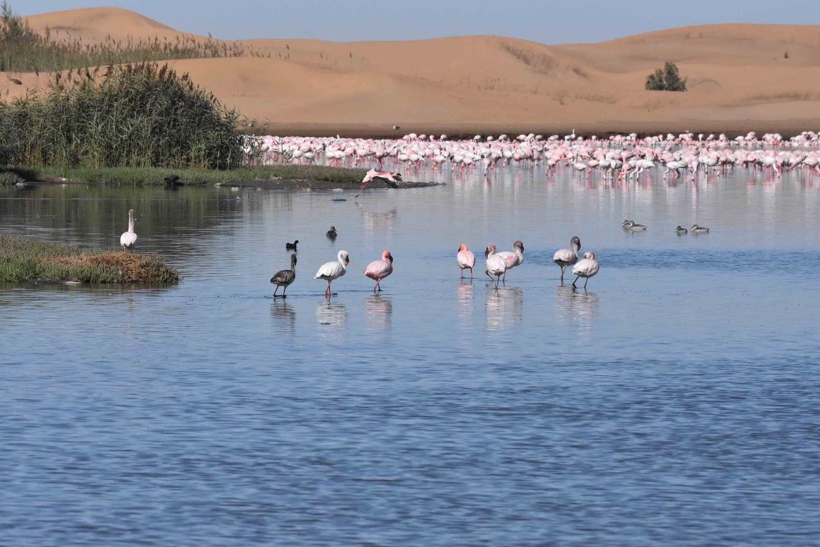 Swakopmund Dunes Dorob National Park - Image 1