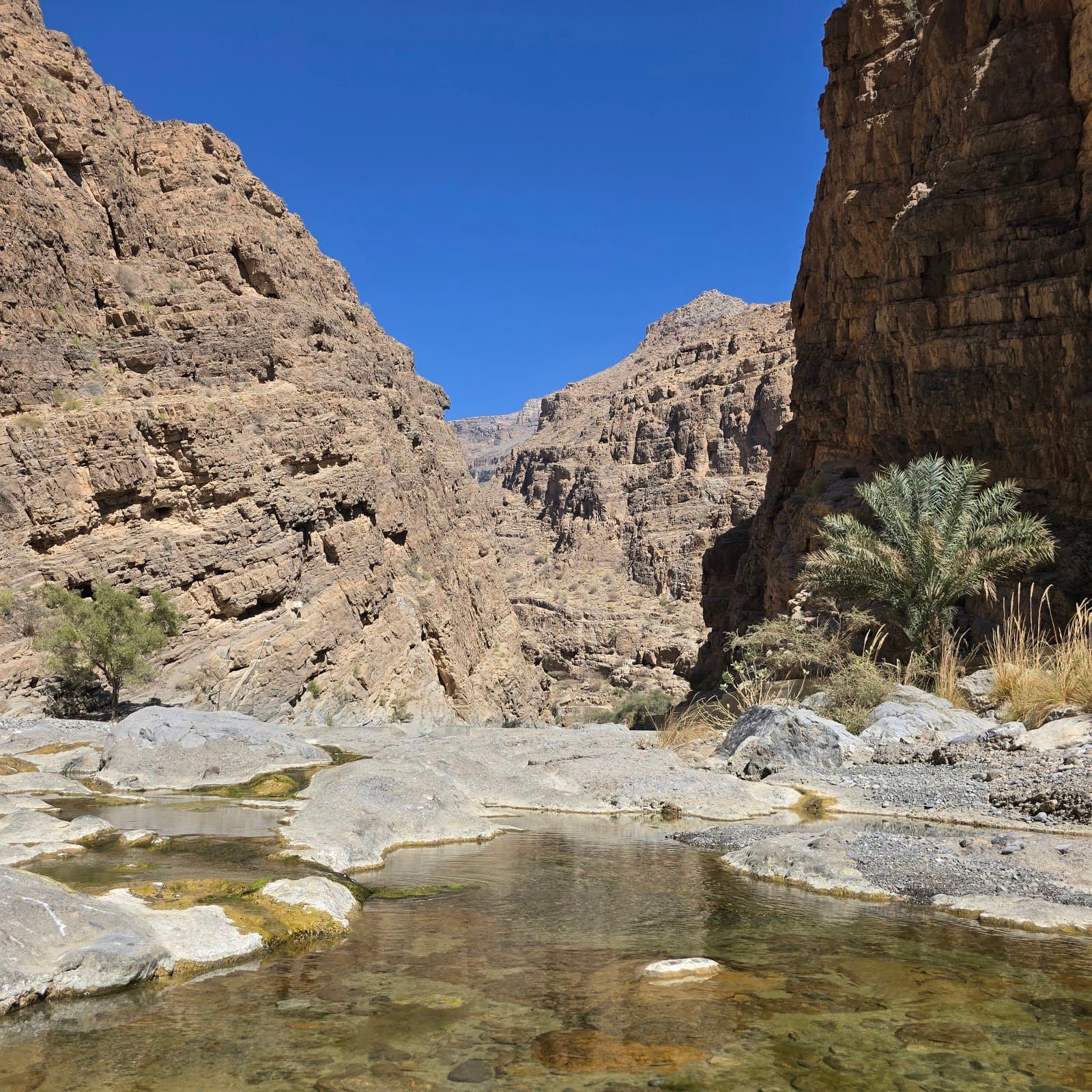Wadi Muaydin - Image 1